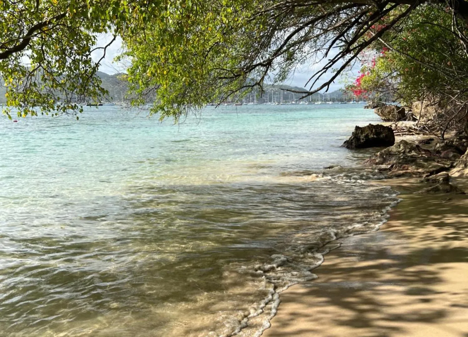 Studio Oiseau Du Paradis Sainte-Anne 0*,  Μαρτινίκα