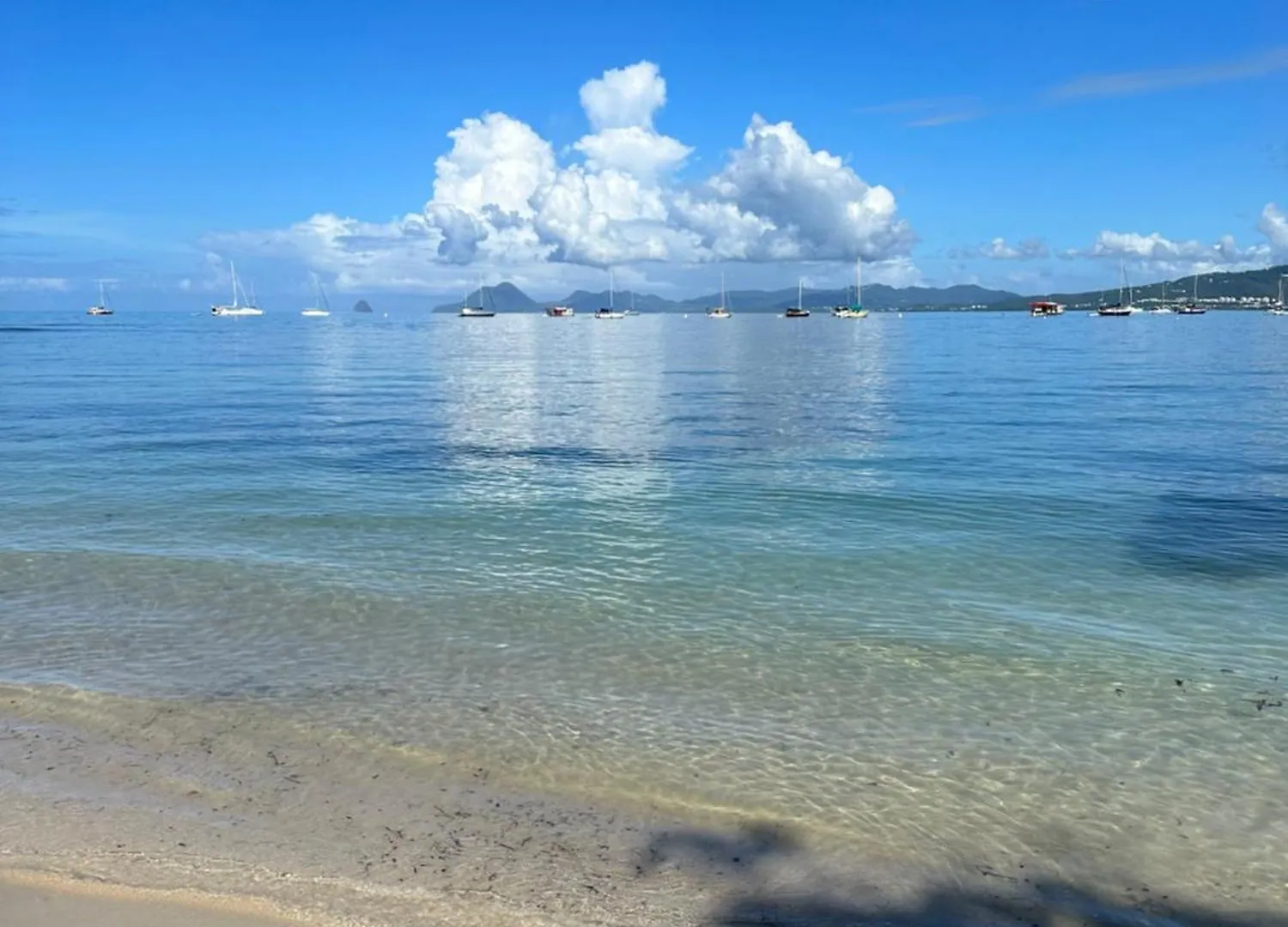 Studio Oiseau Du Paradis Sainte-Anne Διαμέρισμα